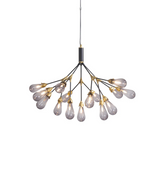 Aiwen Chandelier