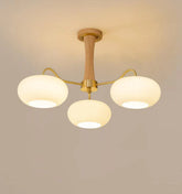 Brass Wooden Persimmon Chandelier