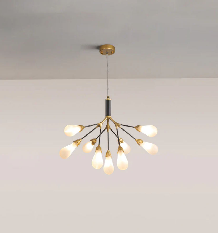 Aiwen Chandelier