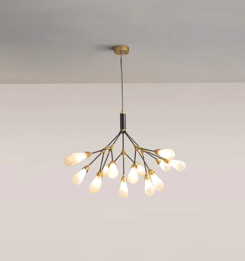 Aiwen Chandelier