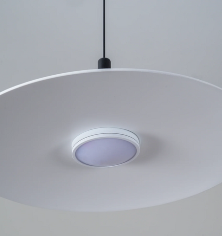 Aplomb Pendant Lamp