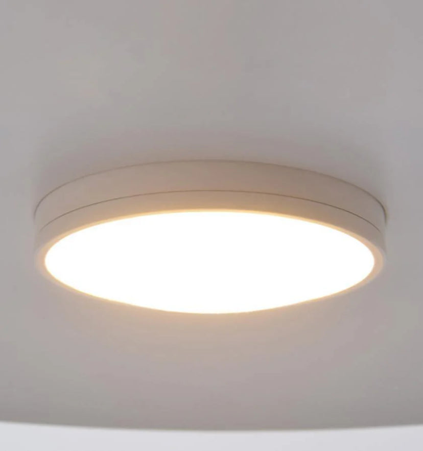 Aplomb Pendant Lamp