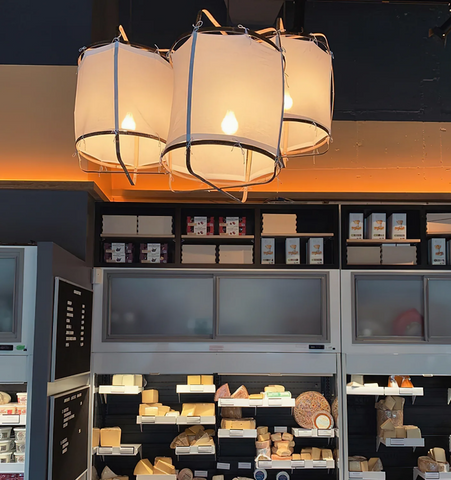 Ay illuminate Pendant Light