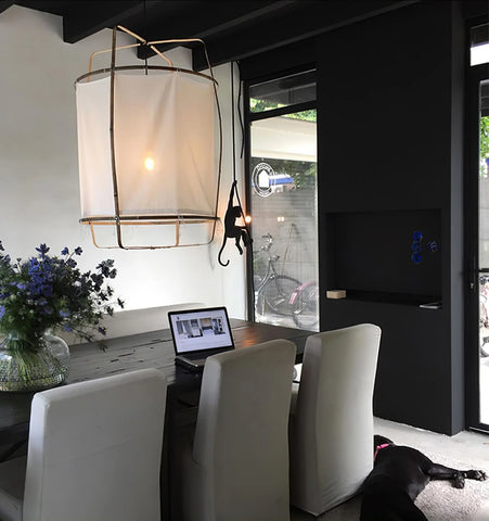 Ay illuminate Pendant Light