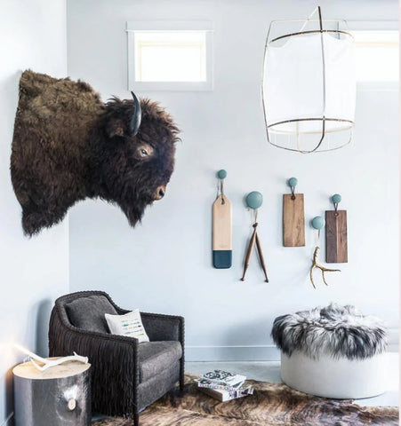 Ay illuminate Pendant Light