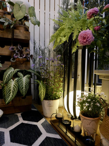 Bols Garden Outdoor Lamp - Yiarolight