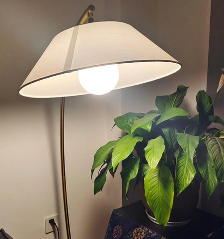 Circo Floor Lamp