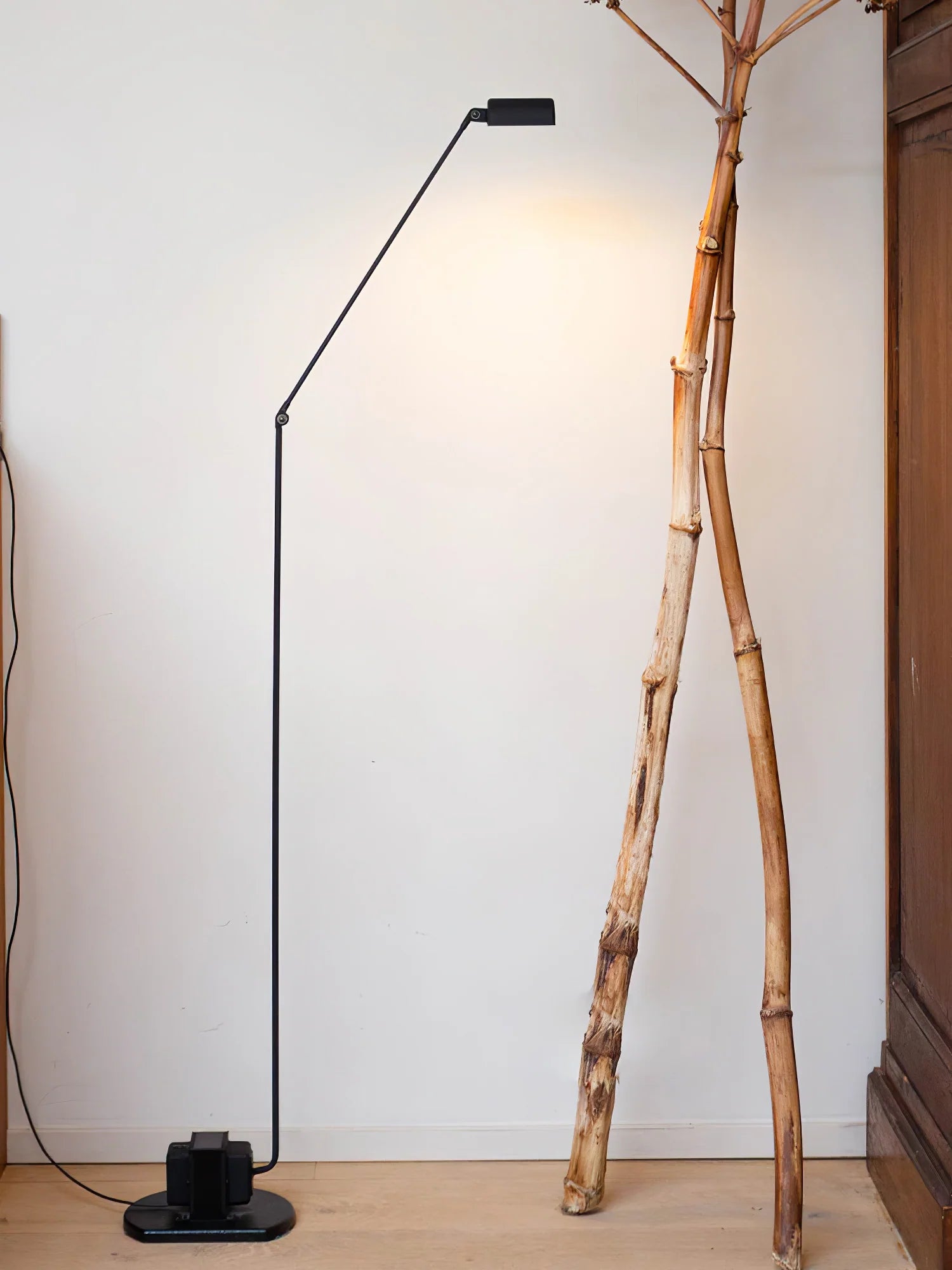 Daphine Floor Lamp