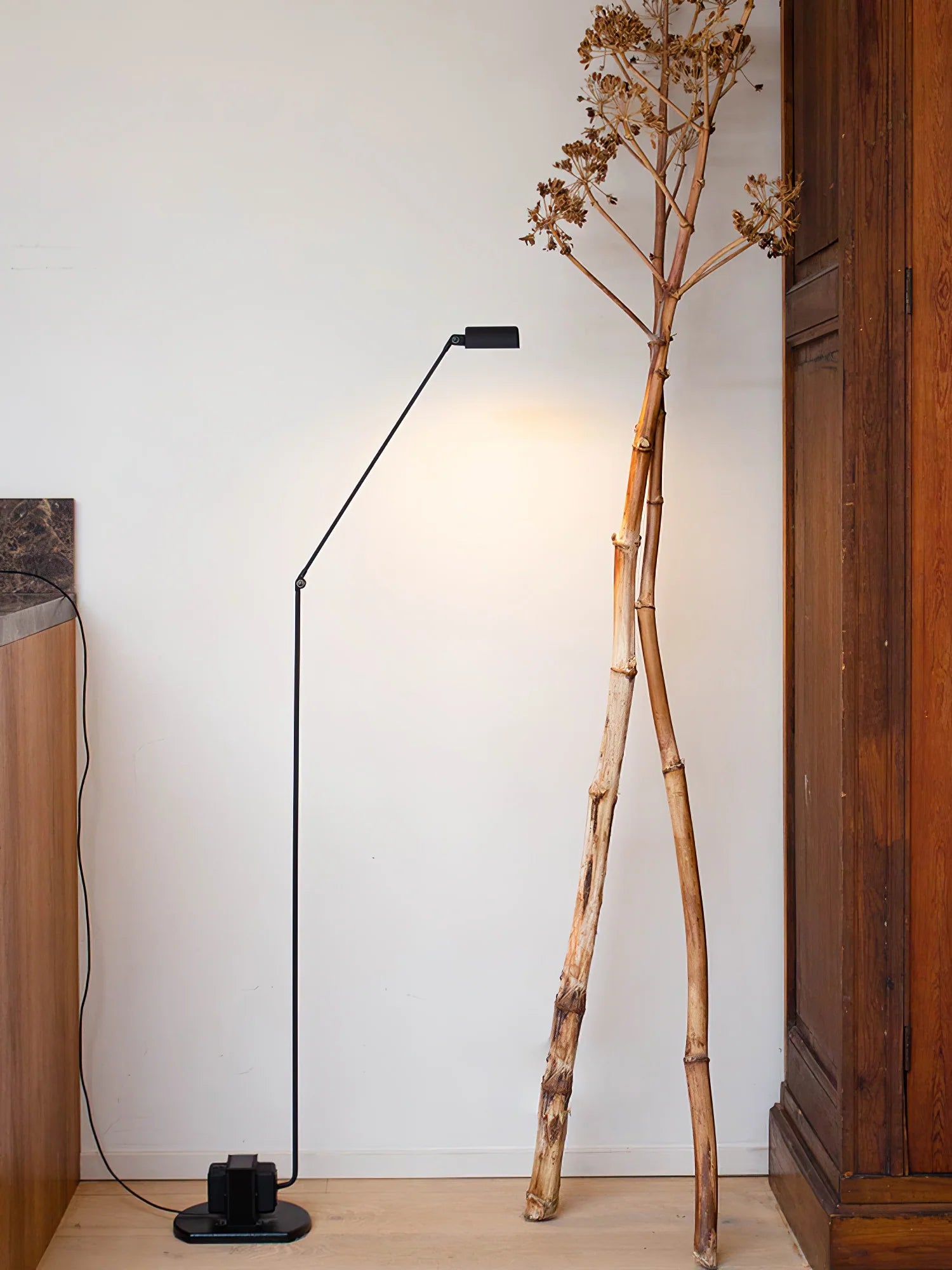 Daphine Floor Lamp