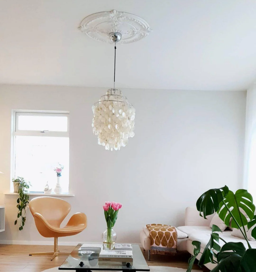FUN Shell Pendant Lamp
