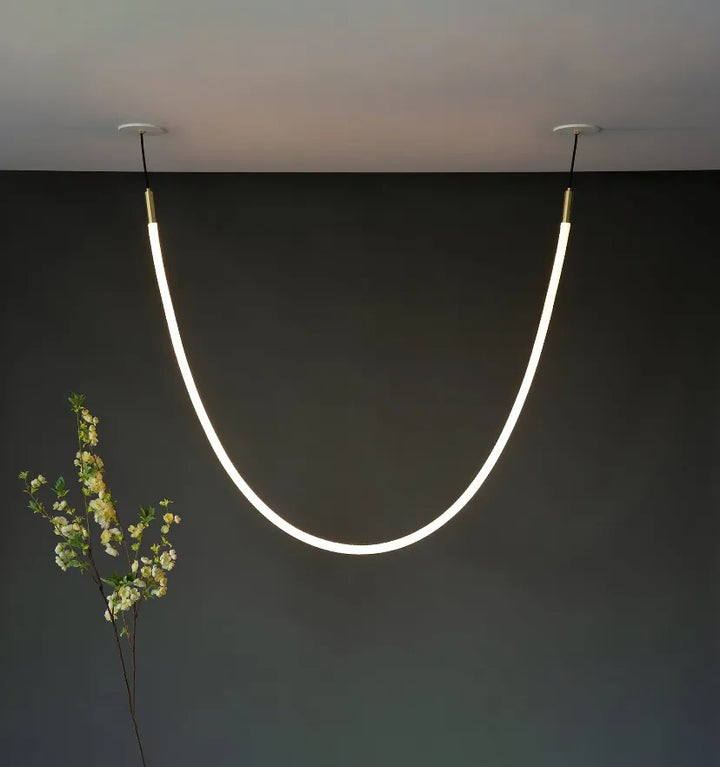 FLEX LED PENDANT LIGHT