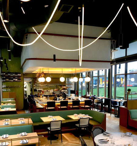 FLEX LED PENDANT LIGHT