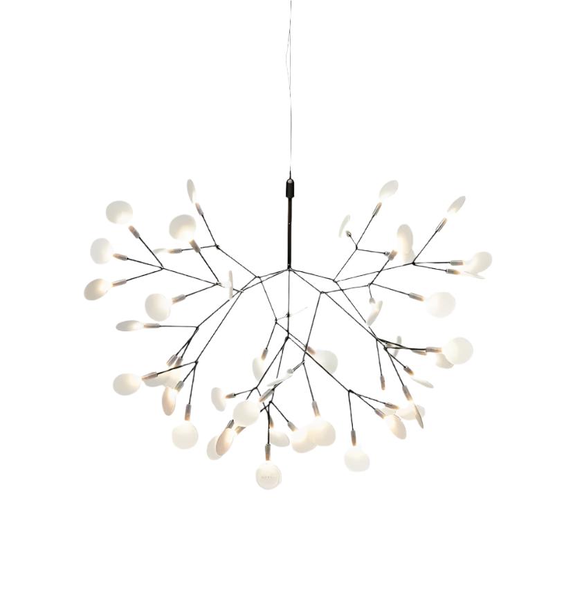 Black Heracleum Chandeliers