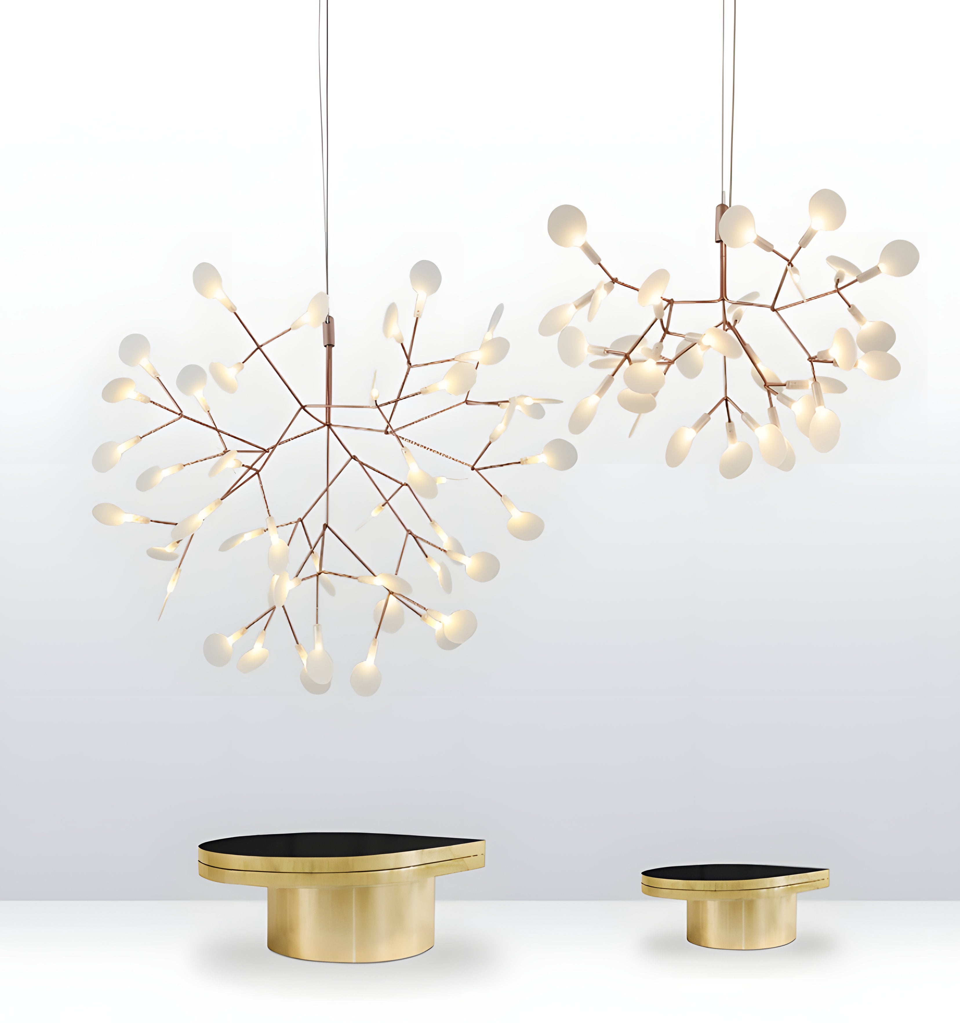 Black Heracleum Chandeliers