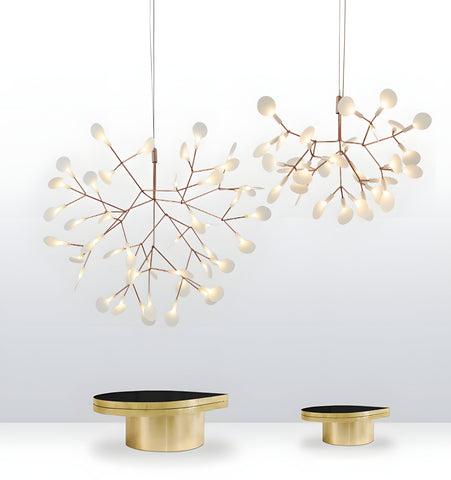 Black Heracleum Chandeliers
