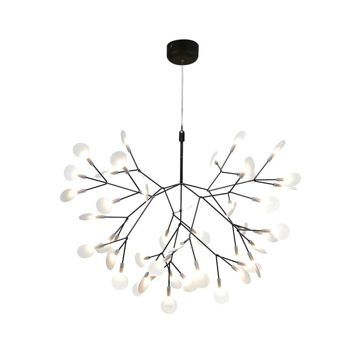 Black Heracleum Chandeliers