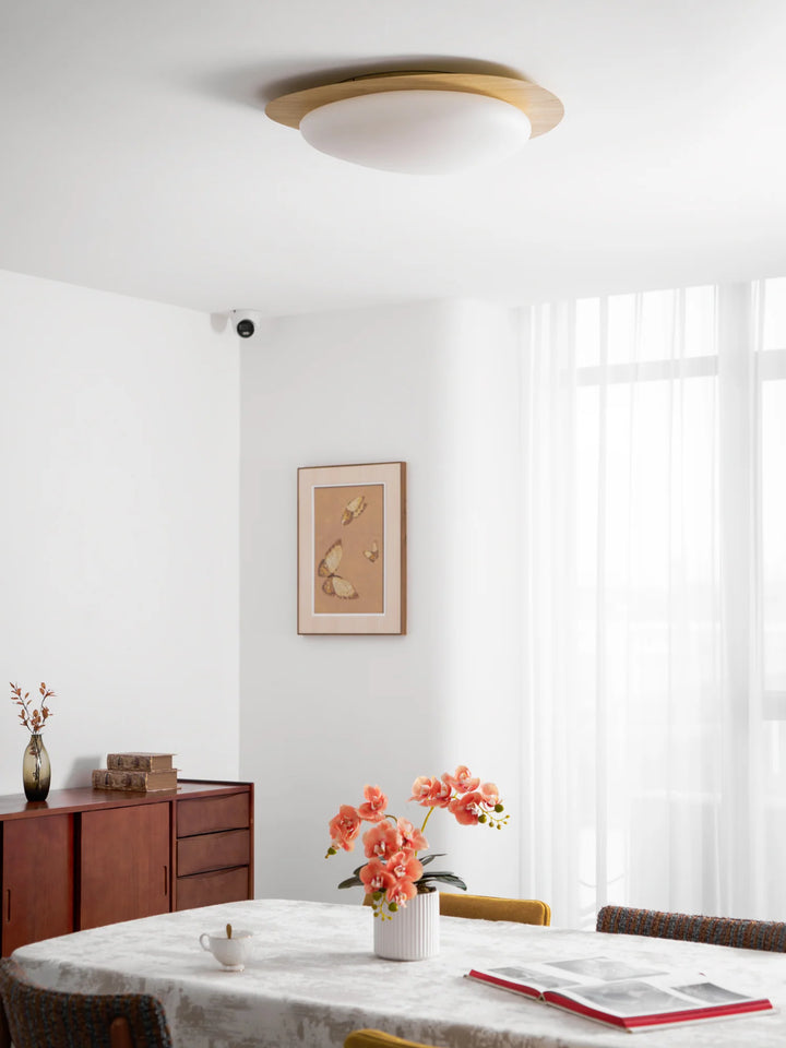 Lola Pebble Ceiling Lamp