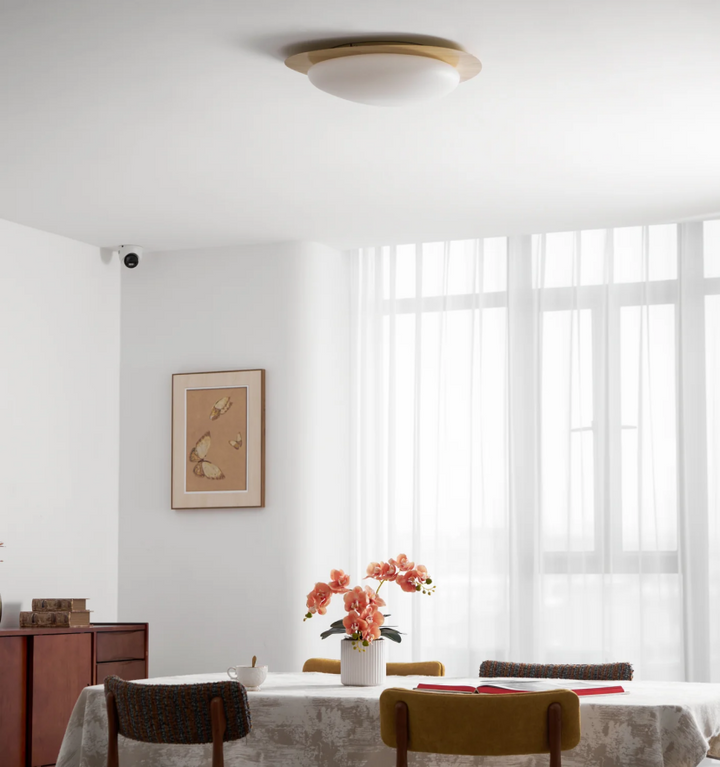 Lola Pebble Ceiling Lamp