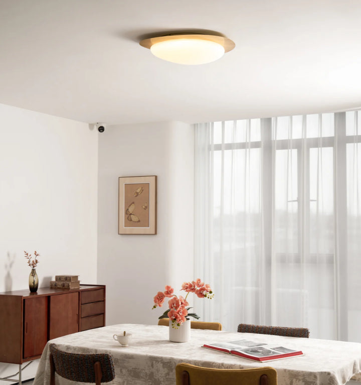 Lola Pebble Ceiling Lamp
