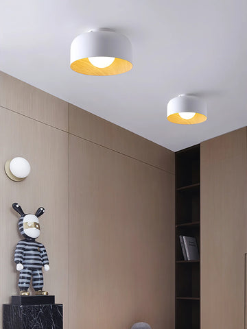 Lumosphere Ceiling Light - Yiarolight