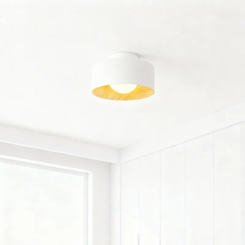 Lumosphere Ceiling Light - Yiarolight