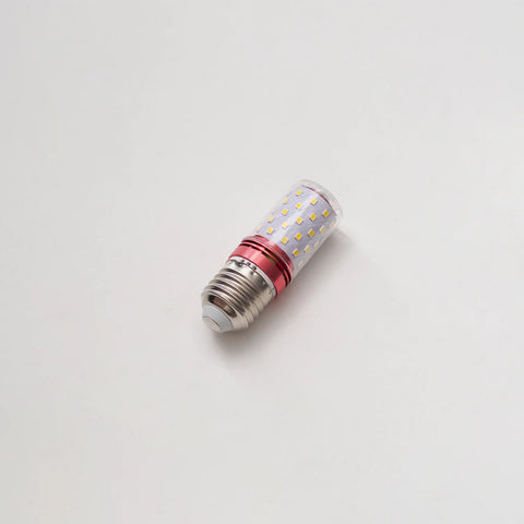 LED light bulb on a white background