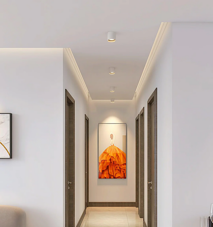 Modupoint Ceiling Light