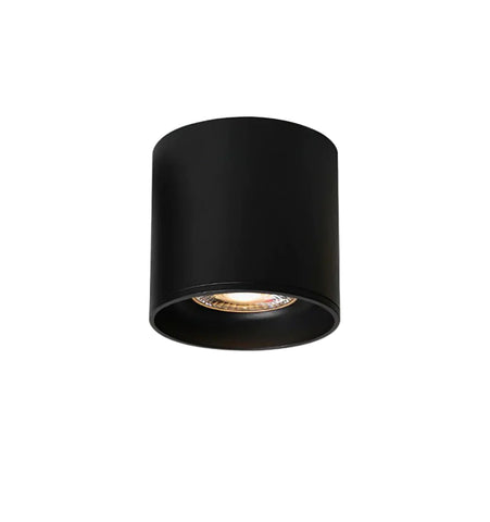 Modupoint Ceiling Light