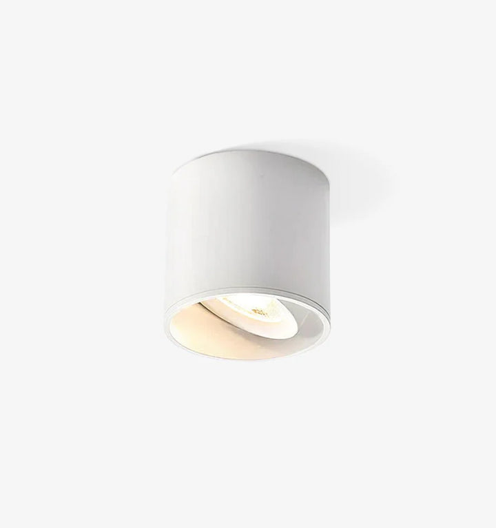 Modupoint Ceiling Light
