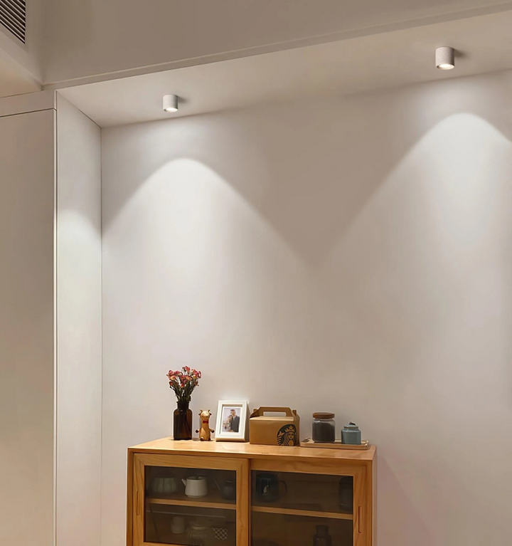 Modupoint Ceiling Light