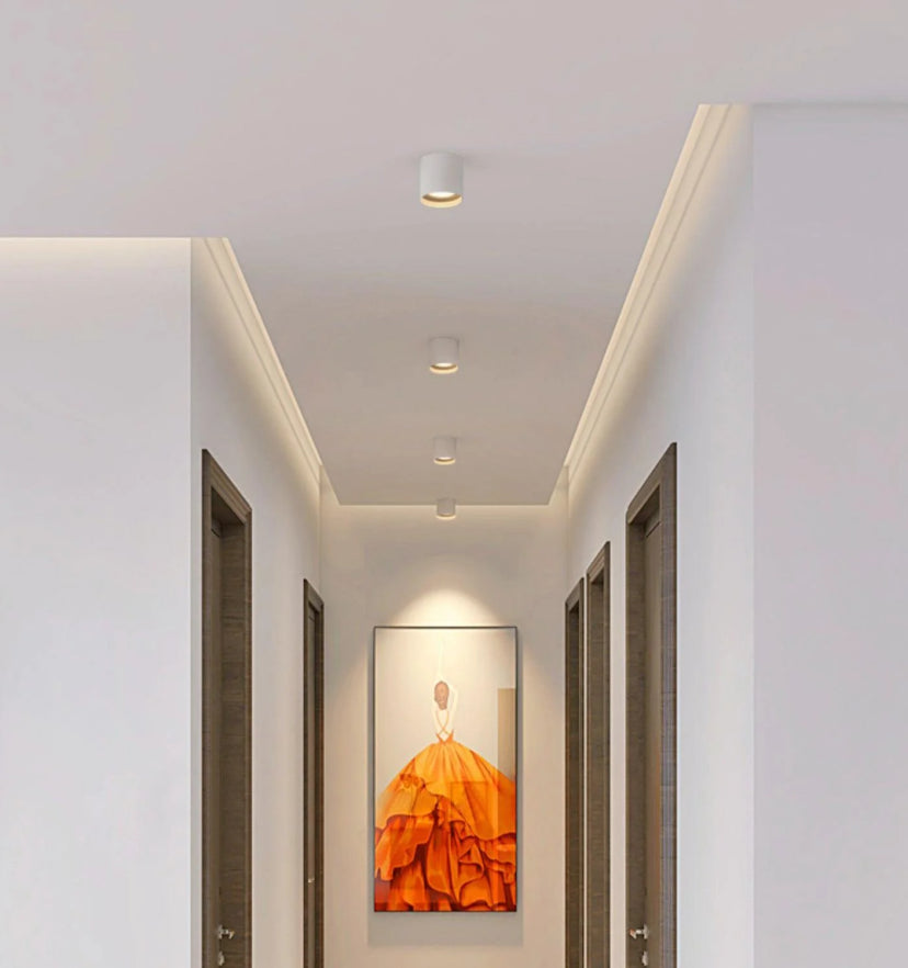 Modupoint Ceiling Light