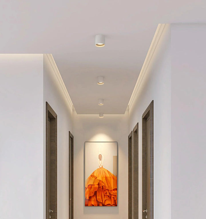 Modupoint Ceiling Light