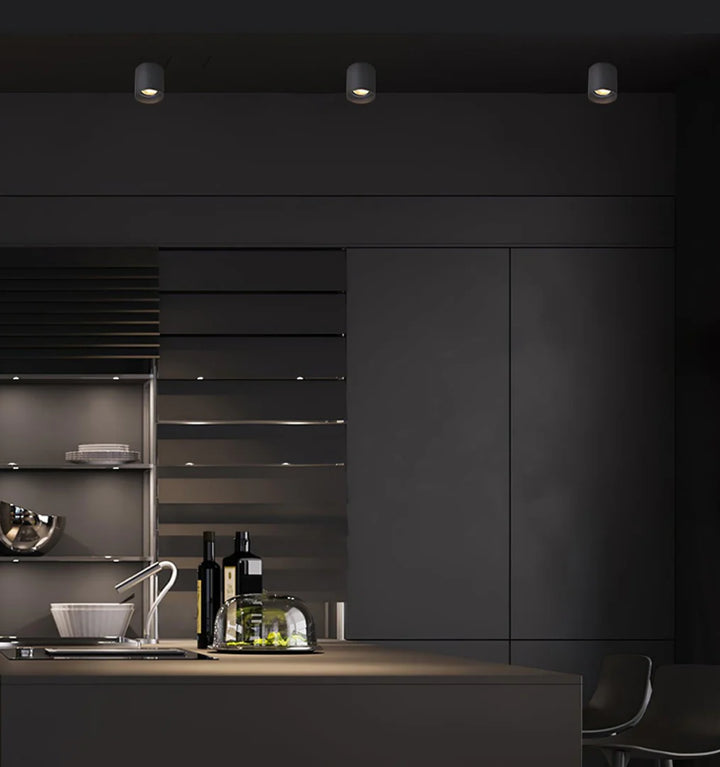 Modupoint Ceiling Light