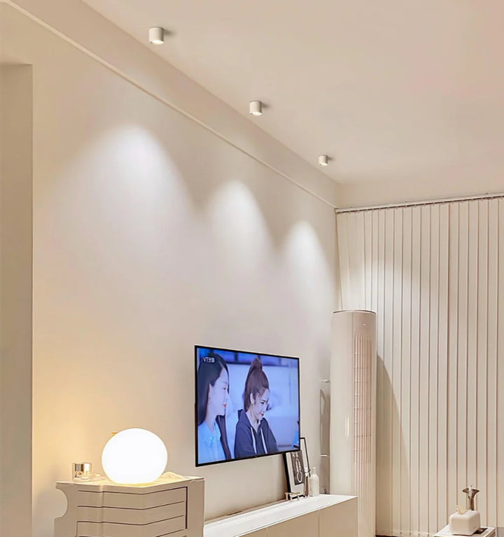 Modupoint Ceiling Light