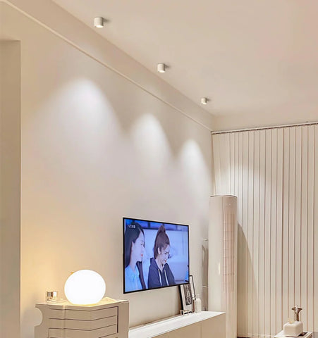 Modupoint Ceiling Light