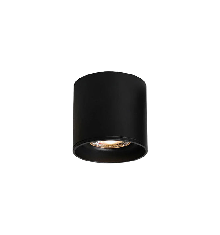 Modupoint Ceiling Light