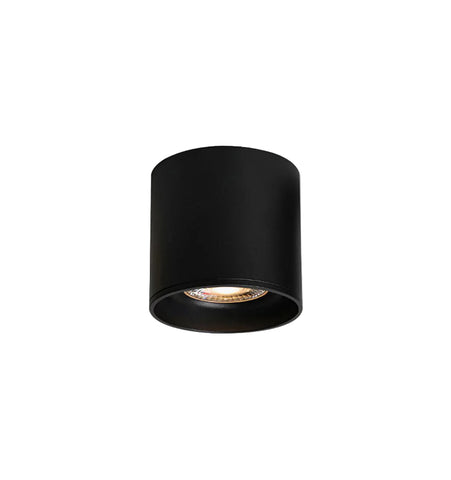 Modupoint Ceiling Light