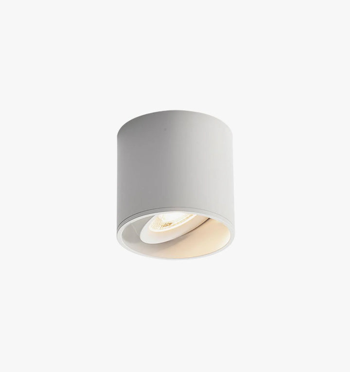 Modupoint Ceiling Light