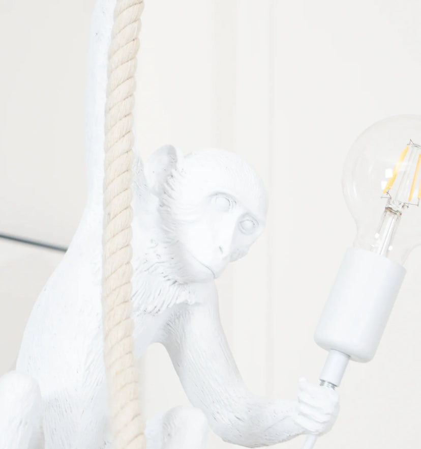 Monkey Pendnant Lamp