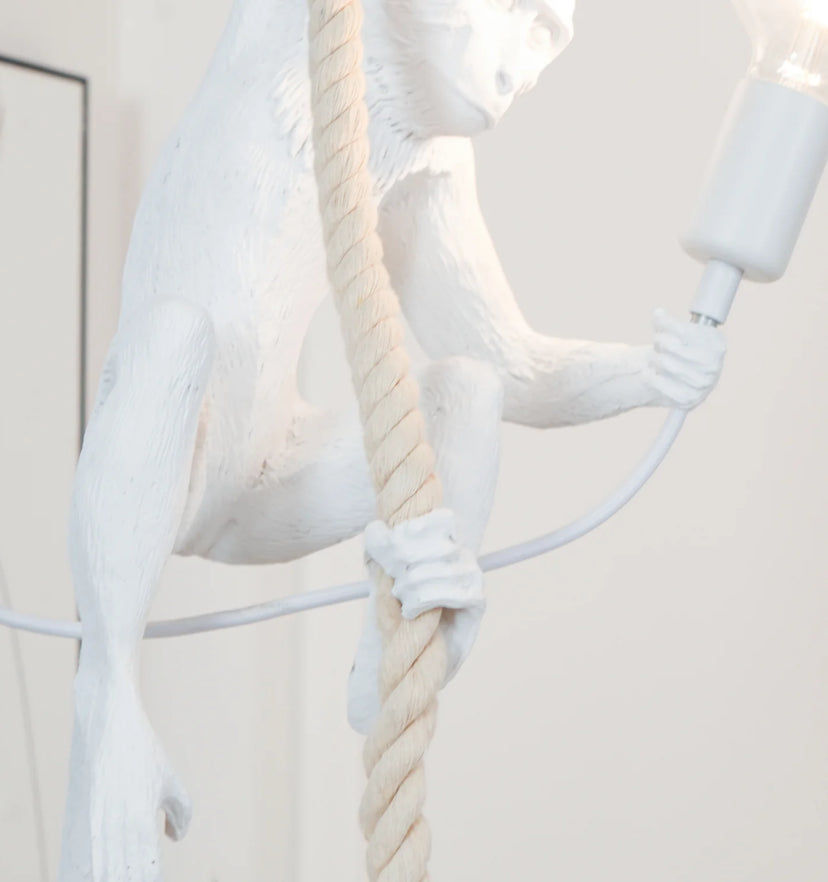 Monkey Pendnant Lamp