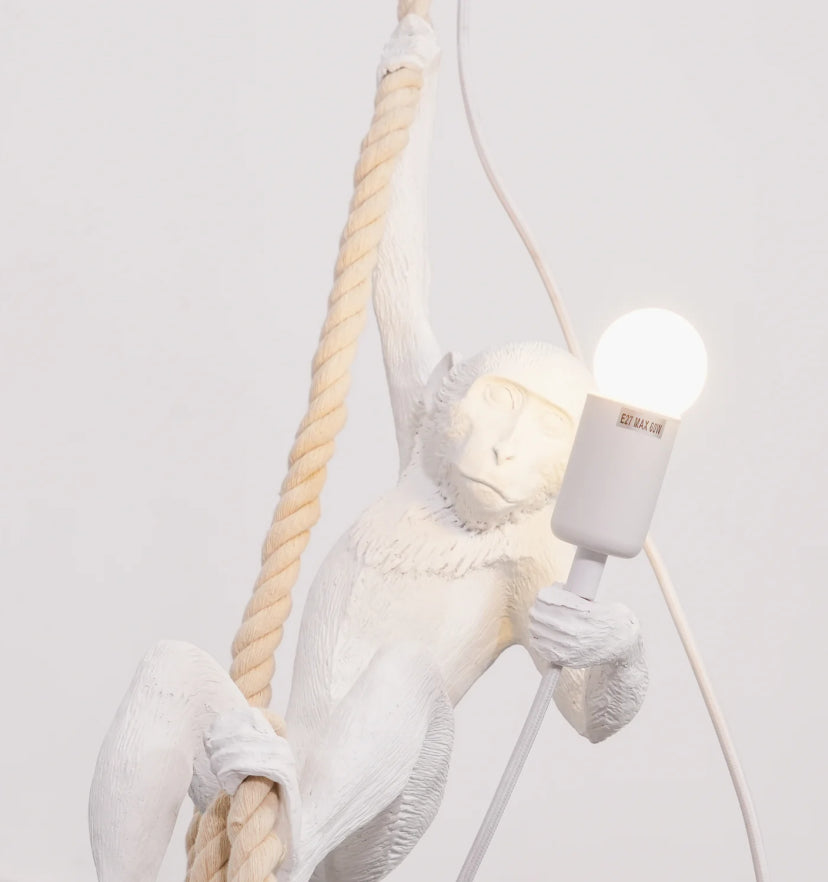 Monkey Pendnant Lamp
