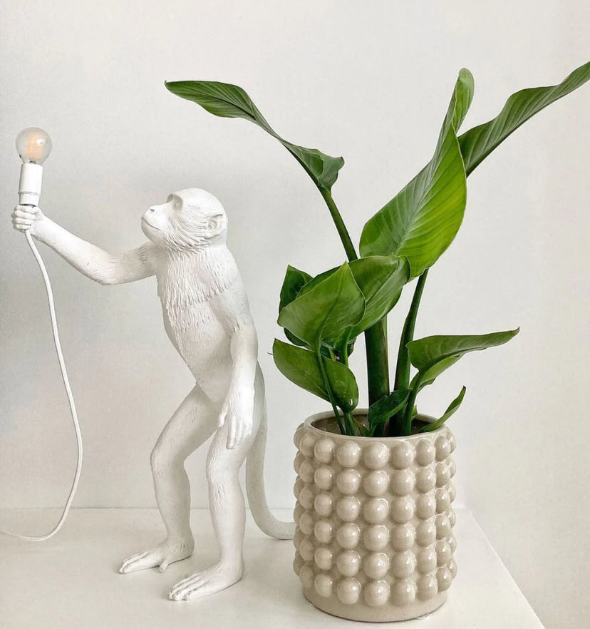 Monkey Table Lamp