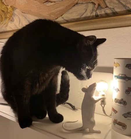 Mouse Table Light