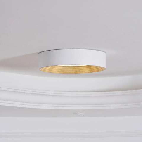 Oreen Ceiling Lamp