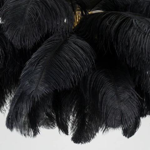 Ostrich Feather Chandelier - Yiarolight