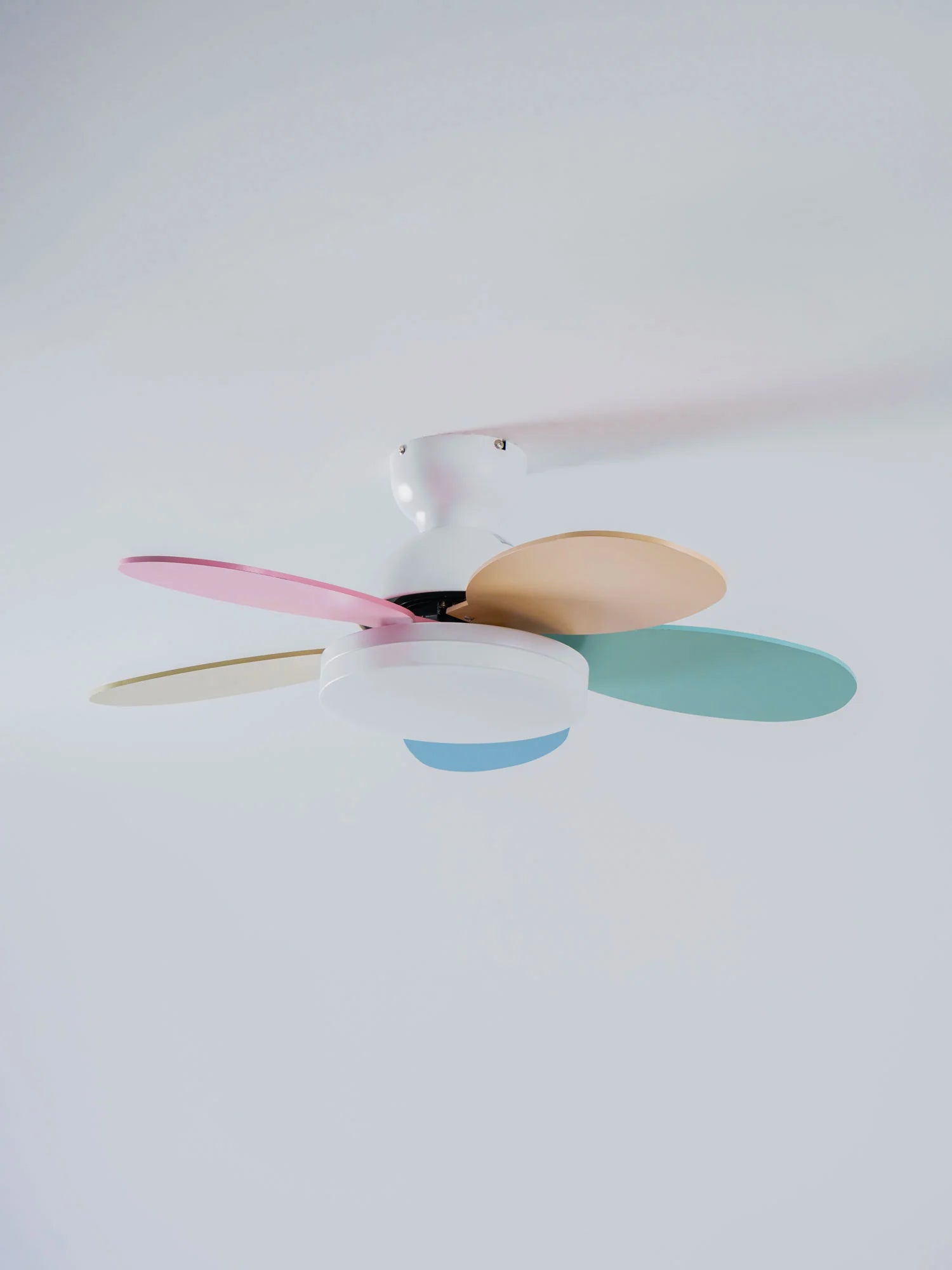 Petalo Ceiling Fan Light - Yiarolight