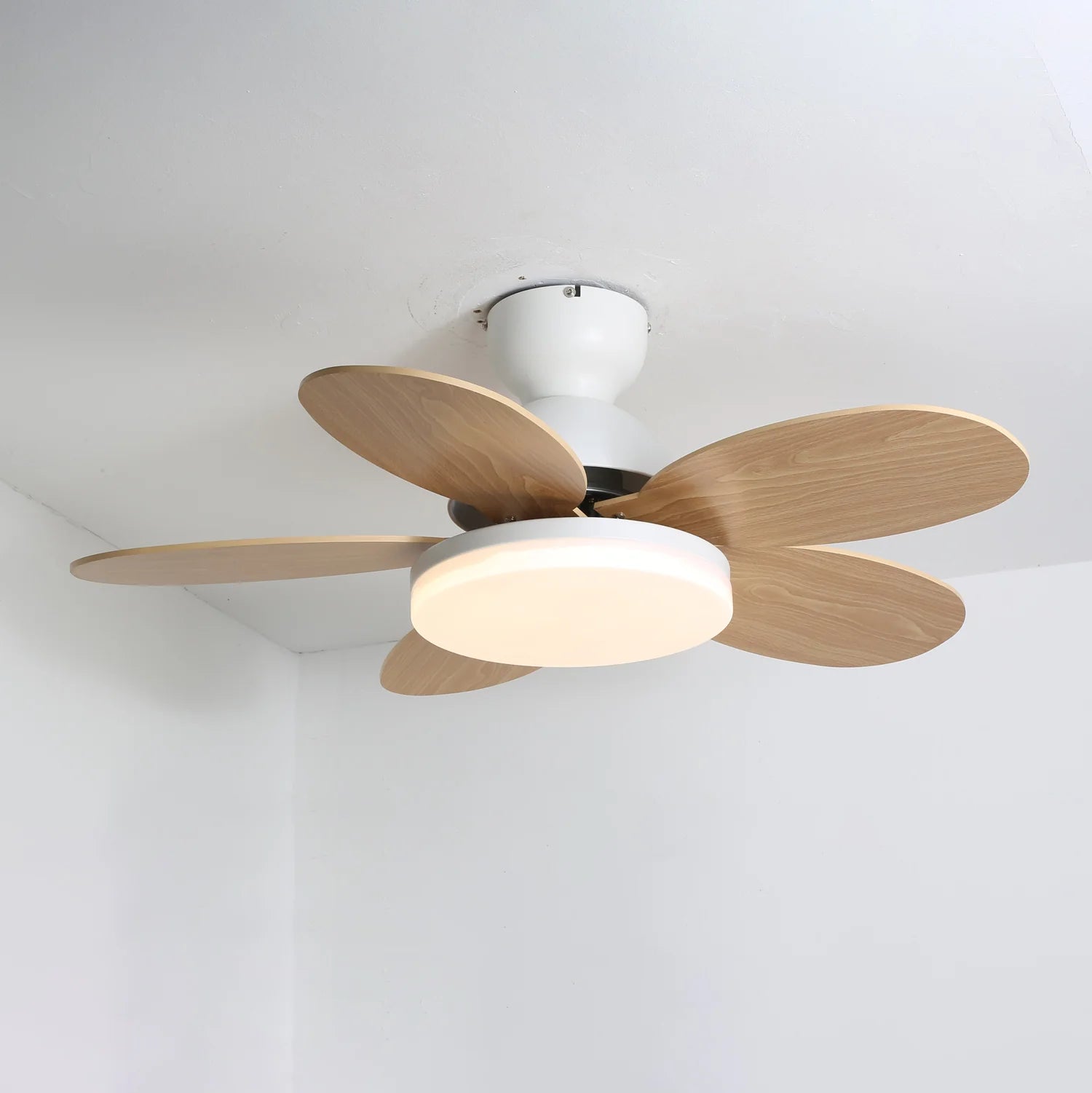 Petalo Ceiling Fan Light - Yiarolight