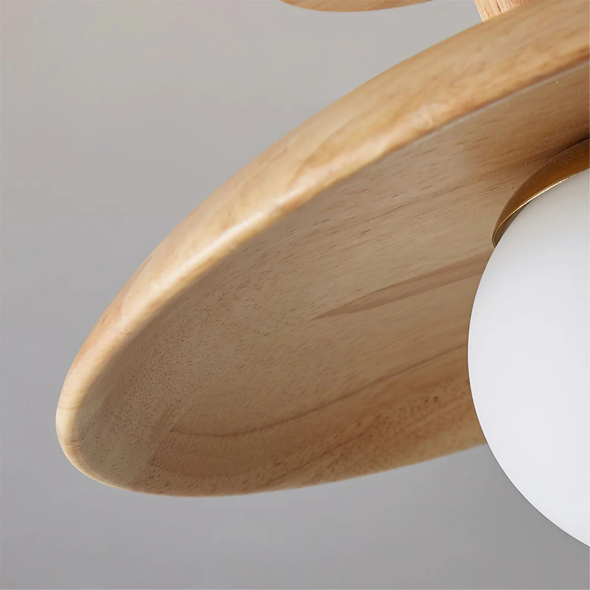 Plafon Ceiling Lamp - Yiarolight