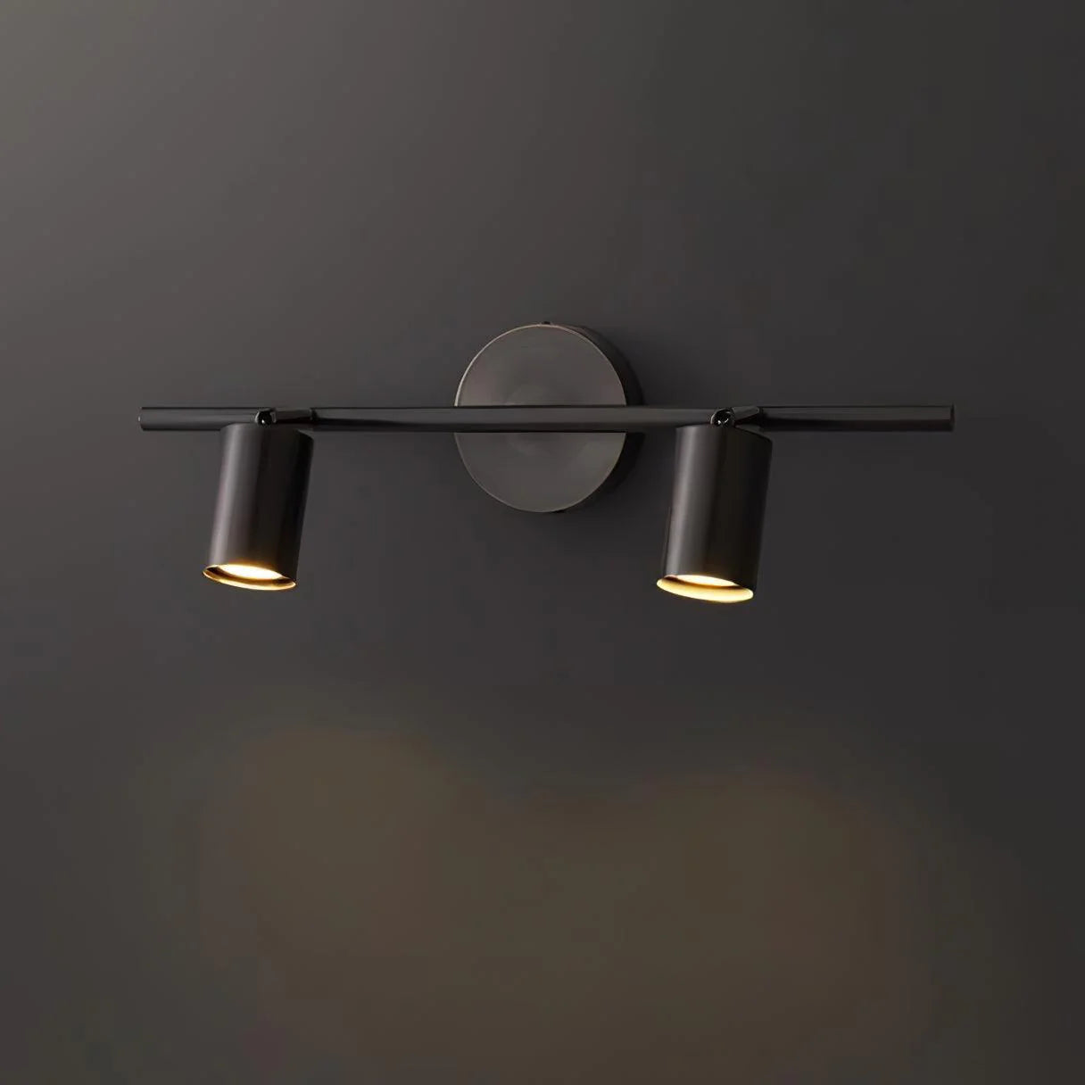 Rotatable Spotlight Wall Light