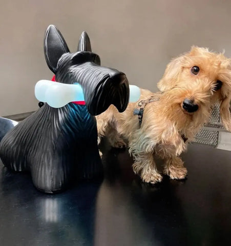 Scottie Table Lamp